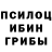 Псилоцибиновые грибы Psilocybe NikA systems