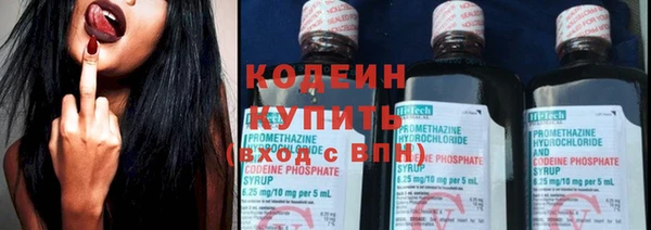 дмт Дмитров