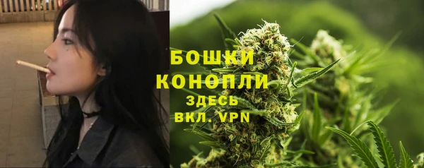 дмт Дмитров