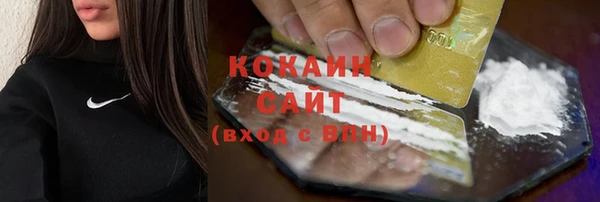 2c-b Дмитриев