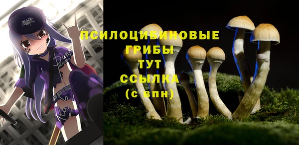 ALPHA PVP Дмитровск