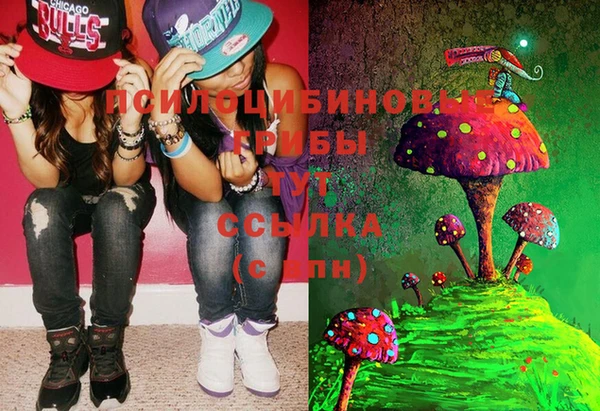 дмт Дмитров