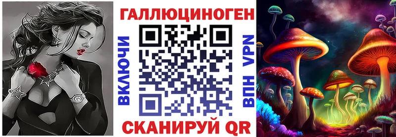 hydra как зайти  цены   Котовск  Галлюциногенные грибы Psilocybe 